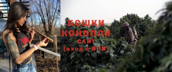 стаф Балахна
