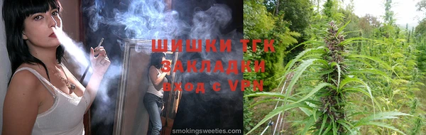 ECSTASY Бородино